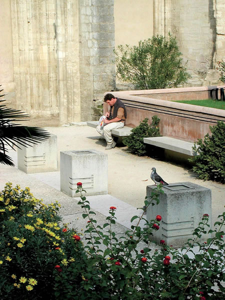 avignon